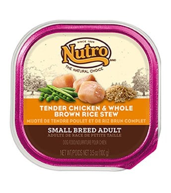 nutro dog food sold near me