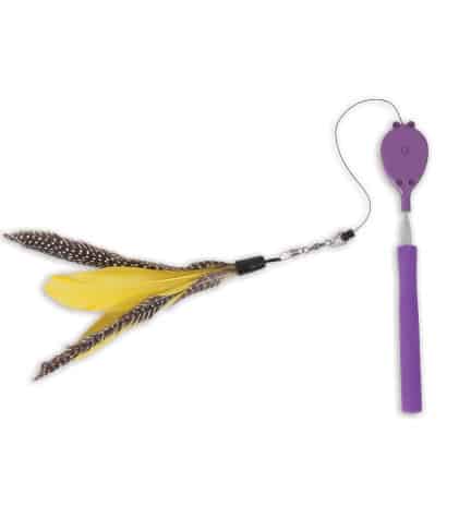 jackson galaxy air wand