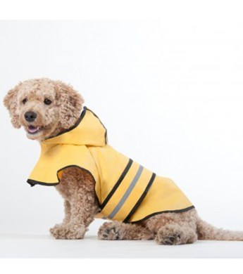 yellow dog coats