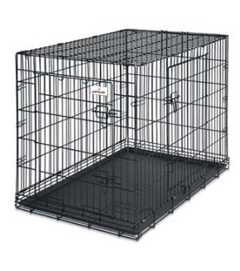 Petmate 42 2 Door Wire Crate Wilco Farm Stores