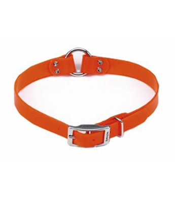 pet belt shop near me