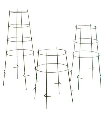 Galvanized Tomato Cage, 14 in. X 42 in. - Wilco Farm Stores