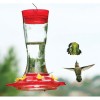 HIATT MANUFACTURING More Birds 36 GAR Hummingbird Feeder, 7-Port, Glass, Clear/Red
