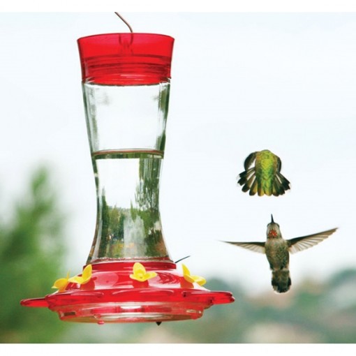 HIATT MANUFACTURING More Birds 36 GAR Hummingbird Feeder, 7-Port, Glass, Clear/Red