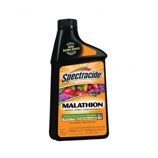 Spectracide 60900 Malathion Insect Spray, 16 oz