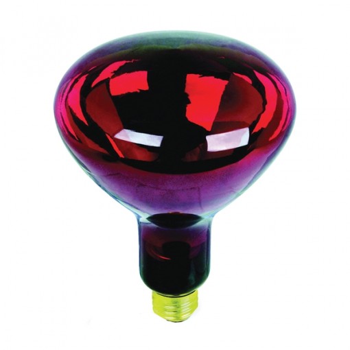 Feit Electric 250R40/R Incandescent Lamp, 120 V, 250 W, Medium E26, R40