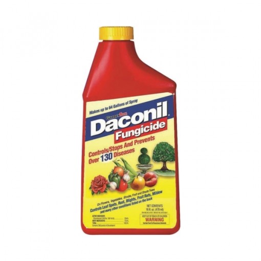 Daconil 100526103 Fungicide, 16 oz Bottle Wilco Farm Stores