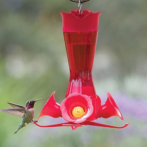 Hummingbird Food Feeders Archives Wilco Farm Stores