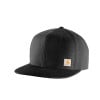 Carhartt 101604-001 Ashland Cap, One-Size, Cotton, Black