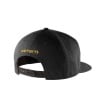 Carhartt 101604-001 Ashland Cap, One-Size, Cotton, Black