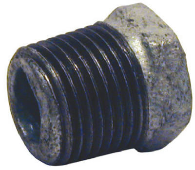 Pipe Fittings, Galvanized Hex Bushing, 1/4 x 1/8-In. - Wilco Farm Stores