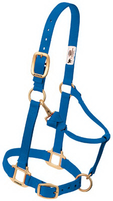 Tough 1 Brown Leather Suckling Foal Size Churchill Stable Halter w/Snap 44-2034 