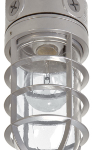 Cooper Lighting Floodlight With Bulb Guard, Incandescent, 100-Watt