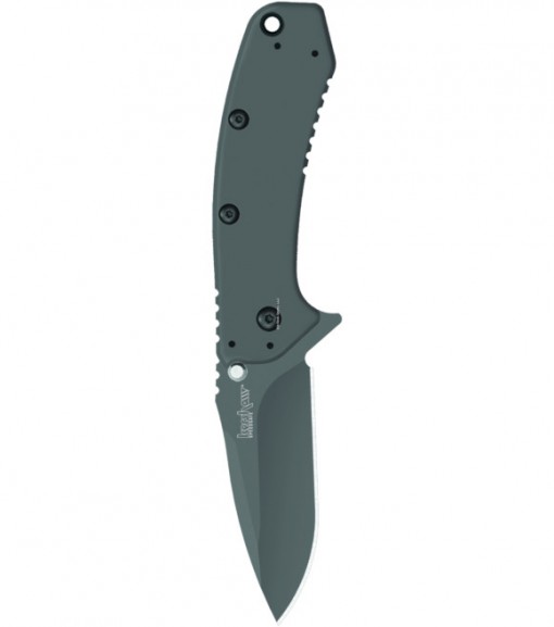Kershaw Cryo 1555TI Knife