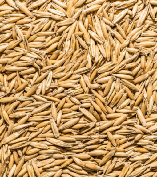 Grainland Select Oats Whole 50 lb.