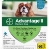 Advantage II for Medium Dogs, 4 pack