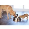 Pet Safe Stainless Steel Drinkwell 360 Pet Fountain