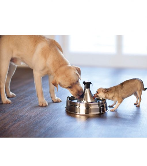 Pet Safe Stainless Steel Drinkwell 360 Pet Fountain