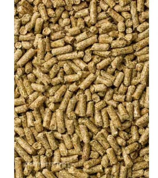 Mazuri® Timothy-Based Guinea Pig Feed, 25 lb.