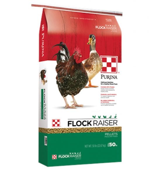 Purina Flock Raiser Non-Medicated Pellet 50 lb.