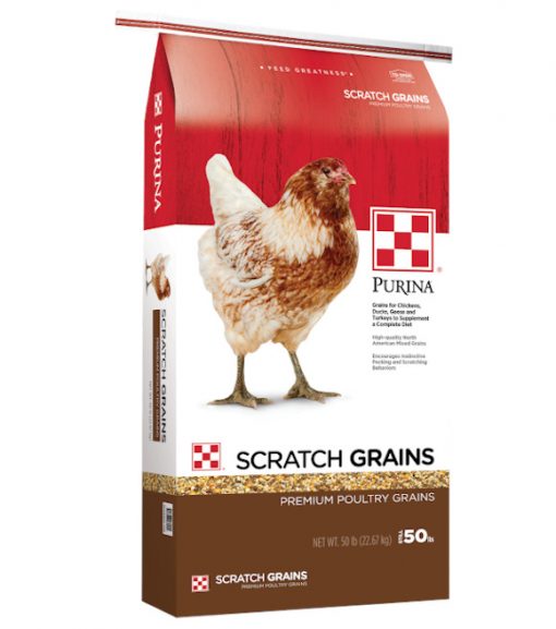 Purina Chicken Scratch Grains 50 lb.