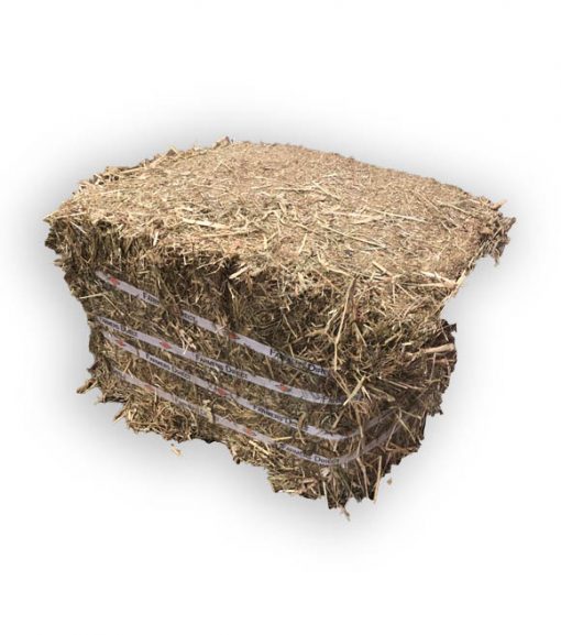 Fearns Compressed Banded Hay 
