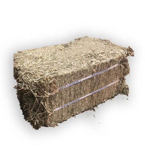 Compressed Timothy Grass Hay Bale