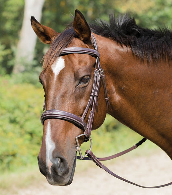 bit and bridle fleece lined jeans