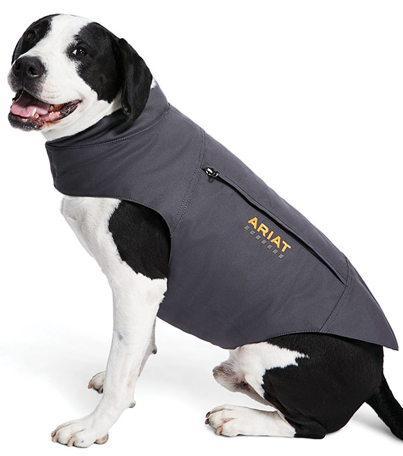 Ariat, Rebar DuraCanvas Insulated Dog Jacket, 10033145 Wilco Farm Stores