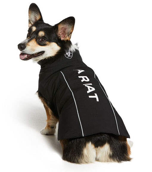 Ariat Team Softshell Dog Jacket, 10033013