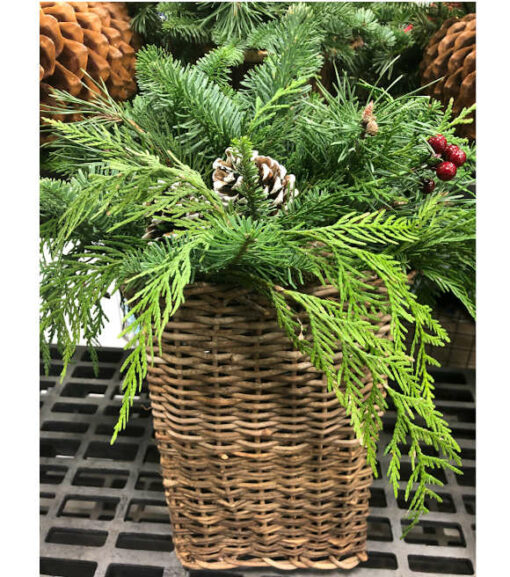 Fresh Greens Holiday Wall Basket