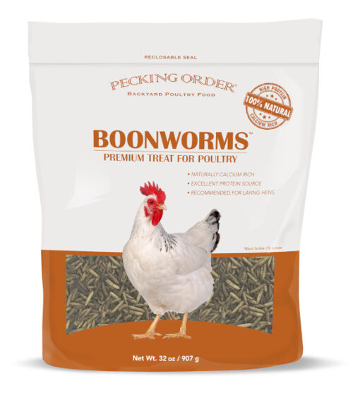 Pecking Order Boonworms Premium Treat