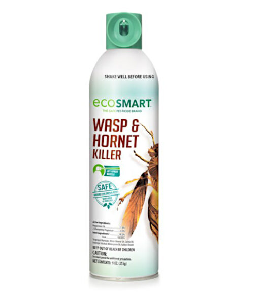 Ecosmart Wasp & Hornet Killer, 9-oz.