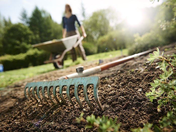 Mothers Day Garden Gift Ideas Blog - rake on ground in garden with low depth of field woman in background