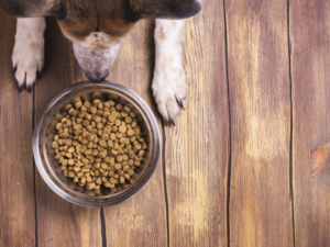 dog-food-bowl-full-feature