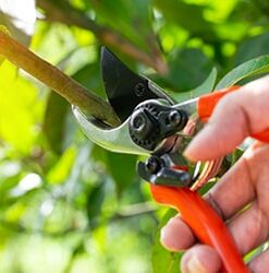 Wilco Product Category Pruners & Loppers