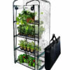 Backyard Expressions Mini Greenhouse with 4-Tier Growing Rack 27" x 19" x 63"