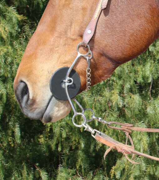 Professional's Choice Iron Brittany Pozzi Lifter Horse Bit 51/2 in