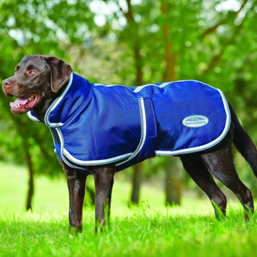 WeatherBeeta Deluxe Dog Coat 22 in - Gray/Navy Blue/White