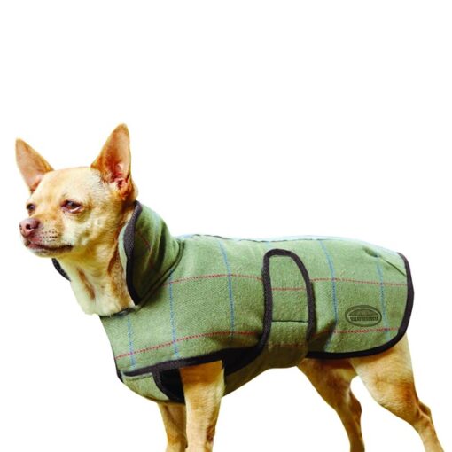 WeatherBeeta Dog Coat 12 in - Olive