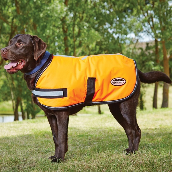WeatherBeeta, ComFiTec Dog Coat - Orange - Wilco Farm Stores