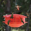 Humm-Bug Hummingbird Protein Feeder