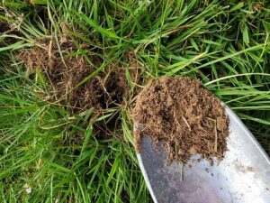 Soil Test Kit 2 Blog Feature Image