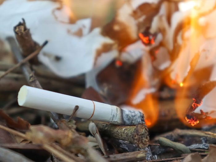 forest-fire-cigarette