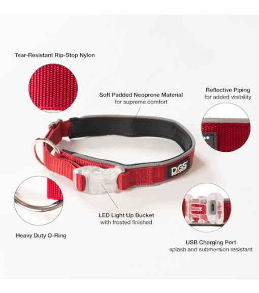 Comet LED Collar