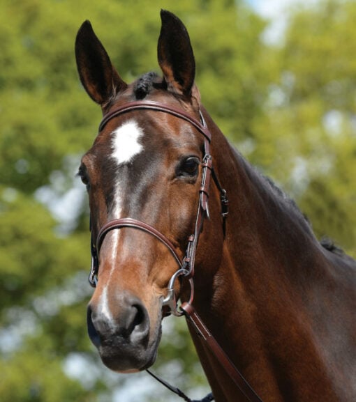 KINCADE Full Leather Plain Bridle - Brown