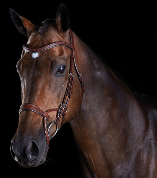 Collegiate ComFiTec Full Leather Training Bridle - Black