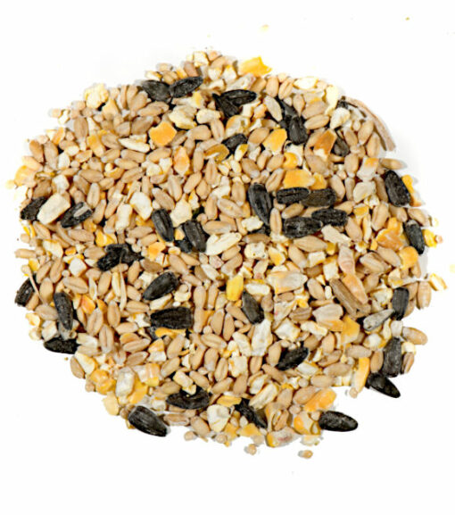 Nature's Nuts Super Value Wild Bird Seed 20 lb.
