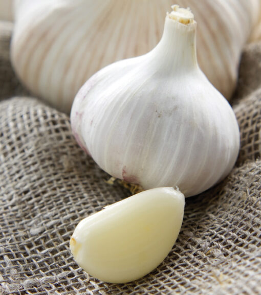 California Garlic