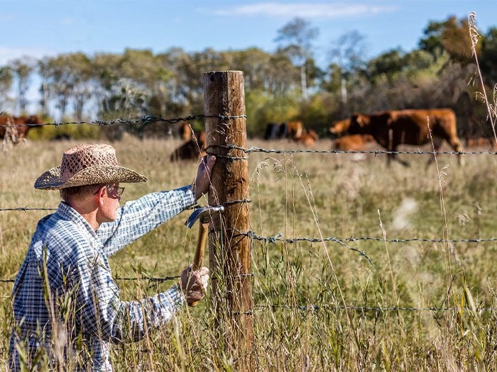 How to build a cattle fence